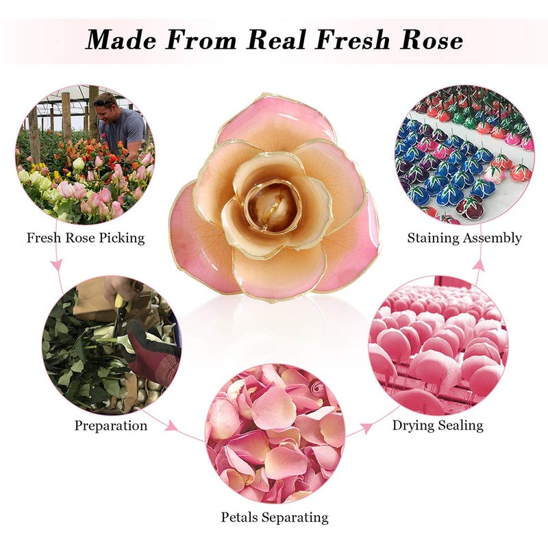 Ejoyous 24K Gold Rose, Forever Preserved Real Rose Lover Mom Wife Daughter Girl Friend, Unique Present on Mother's Day, Wedding Anniversary, Birthday, Proposal, Reward (White - Image 3